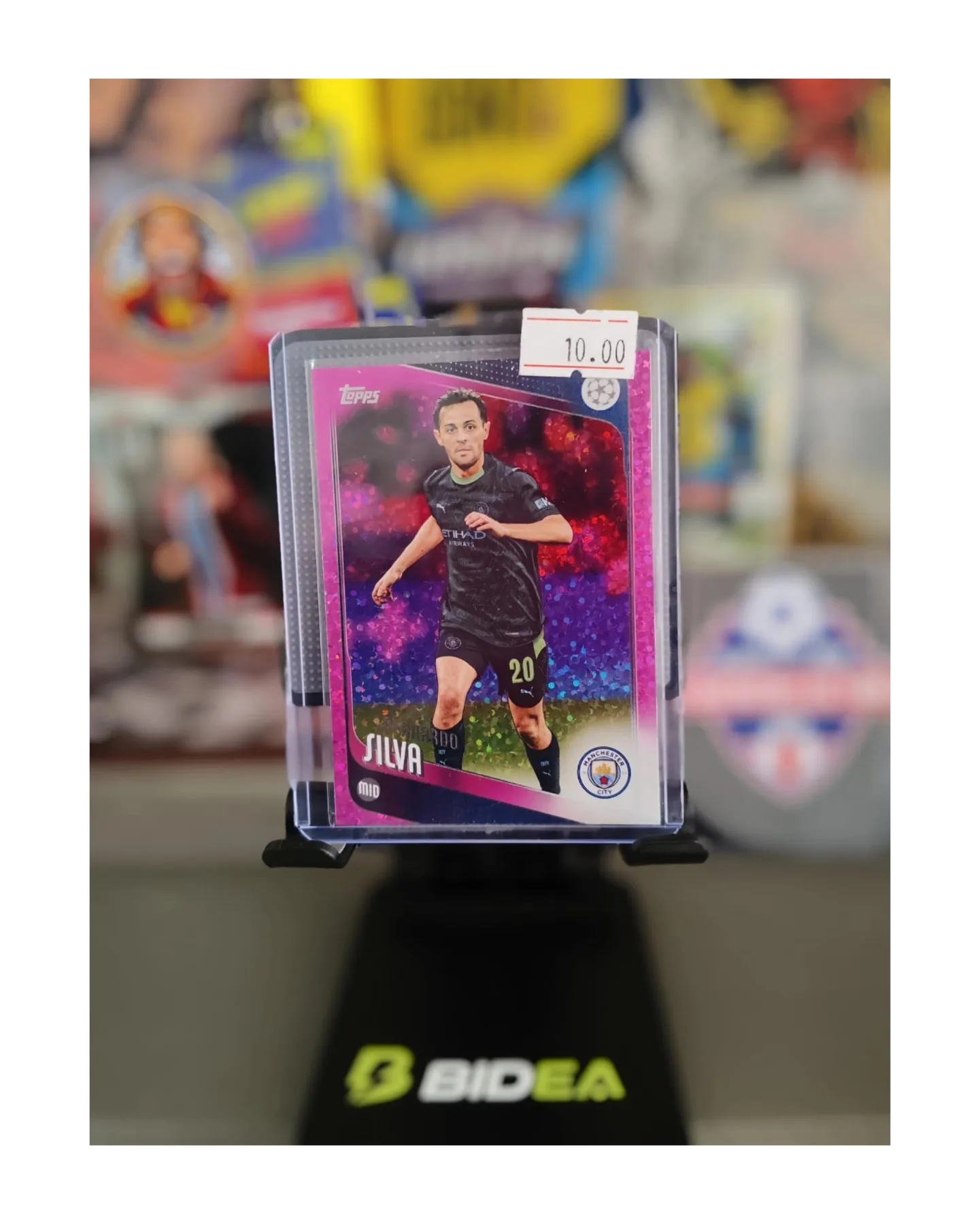 BERNARDO SILVA PARALELA